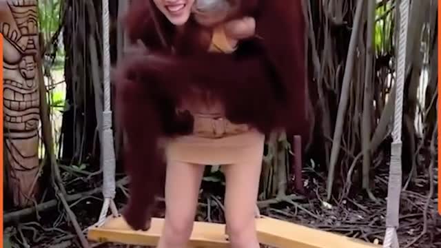 THESE MONKEYS SHOW PERVERTNESS TO PEOPLE