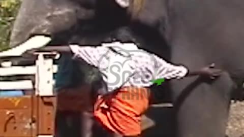 Ayyappan