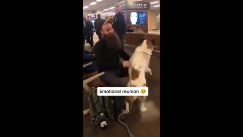 The dog met his owner and started crying