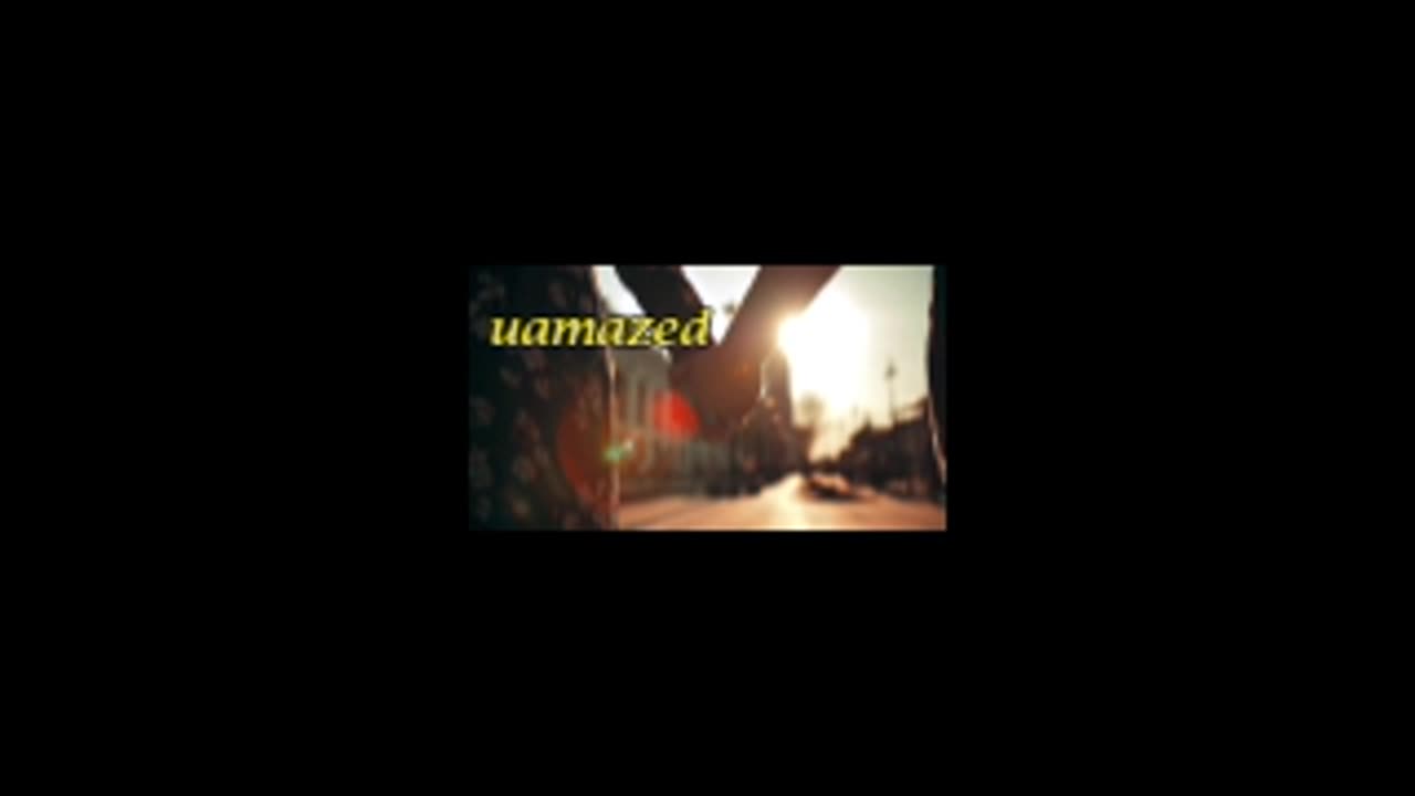 le1-4.mp4