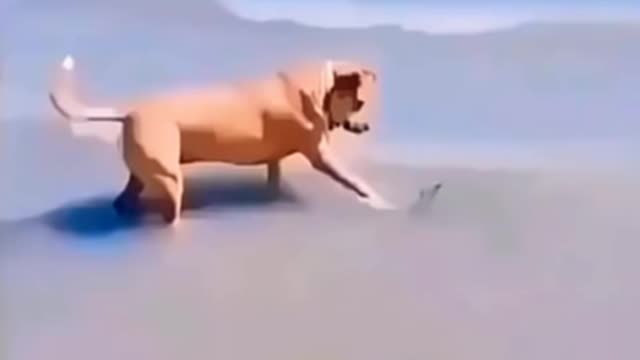 Most funny moments