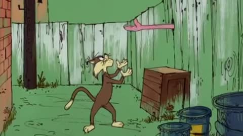 The Pink Panther in -Bobolink Pink