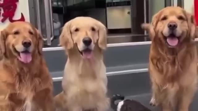 When MOM Wants a FAMILY PHOTO