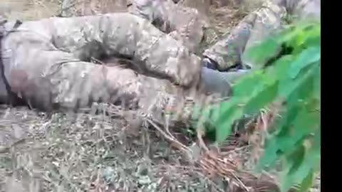 18+ Russian soldiers inspect the dead branch of the Armed Forces of Ukraine