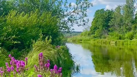 Nature lover