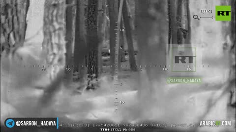 The work of a sniper pair in the forest near Kremenna.