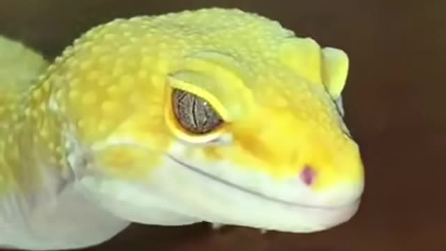 I'm waterproof bitch