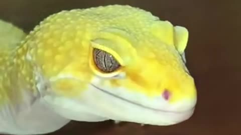 I'm waterproof bitch