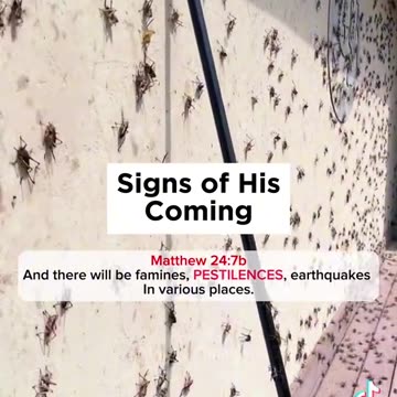 Signs and wonders!….🚨📖