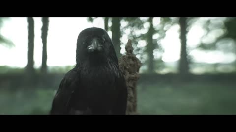 ACCEPT - The Undertaker (OFFICIAL VIDEO)