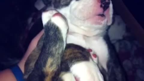 Missing you lil buddy