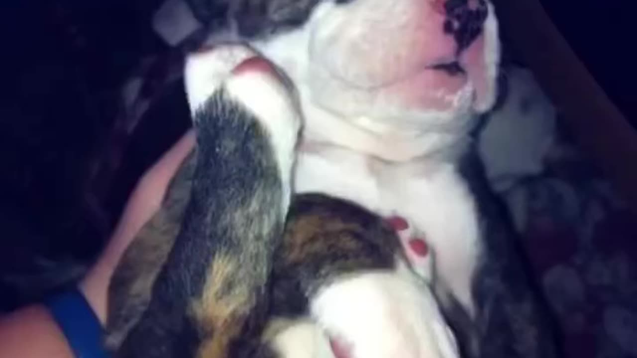 Missing you lil buddy