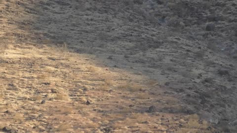 Where did it go? 830yds 12" Target