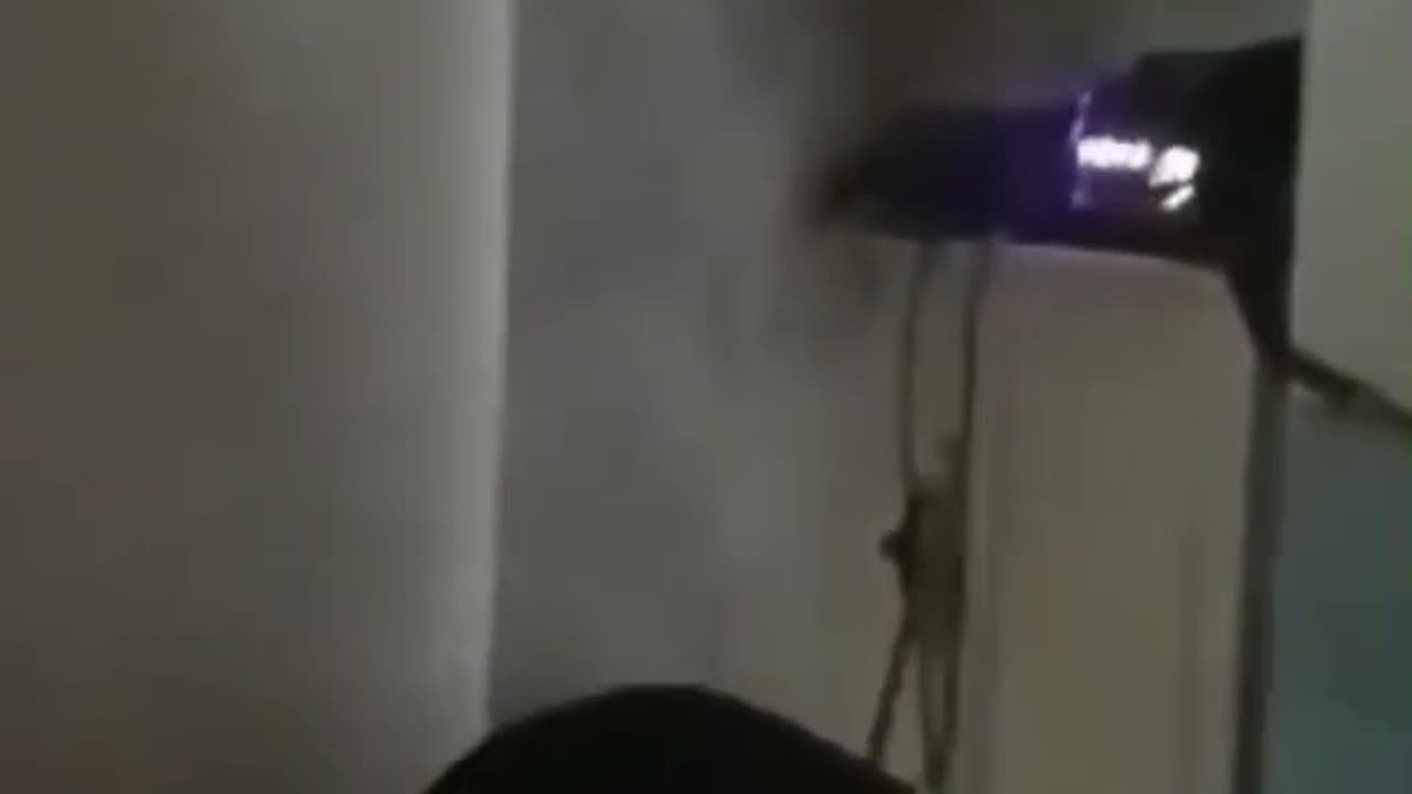 Ukrainian Hollywood