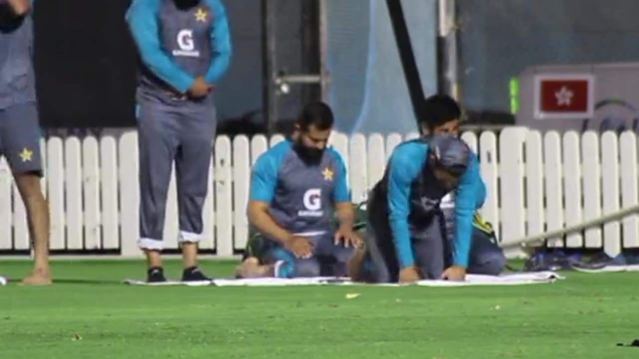 All Cricket Match