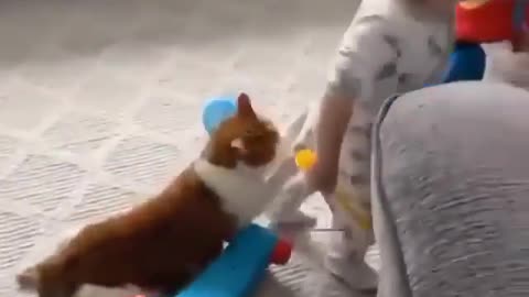 Funny cat playing with baby