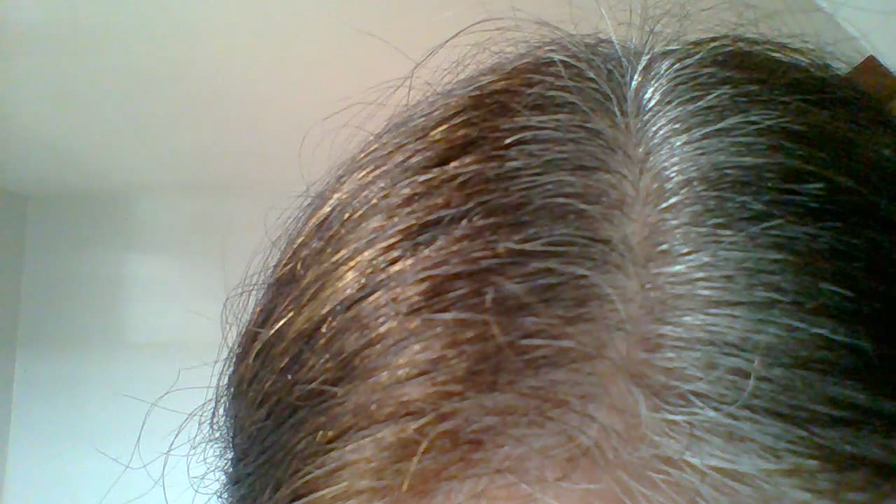 wooooooooooooooooooooooo it seems all clear to go back to the shelters