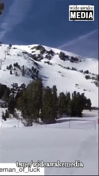 Ignore the evidence of your own eyes.