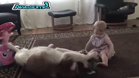 When animals protect human childrens