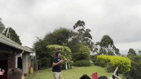 Feeding the Kites in the Backyard