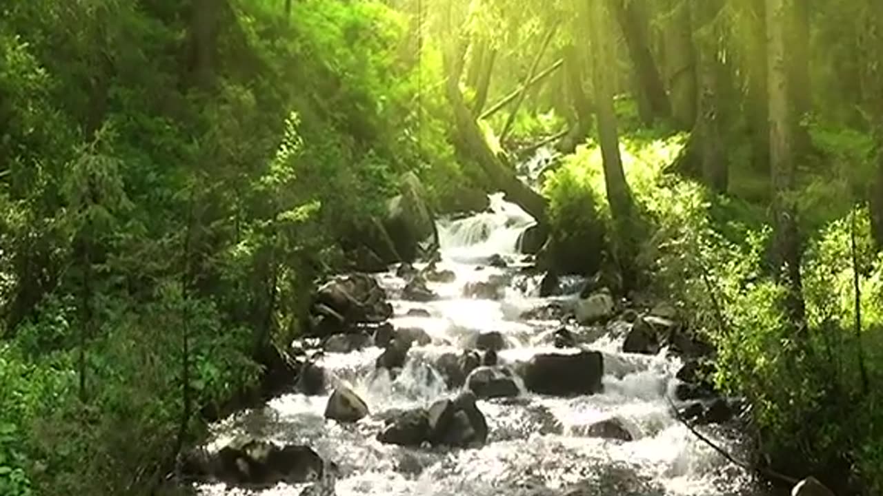 l'eau sur terre