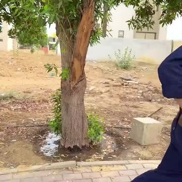 He FOUND MYSTERY inside the GUMMY BEAR 😱🧸😂 #shorts | BROTHERS VLOG