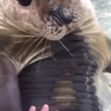 Hey how you doing 😊