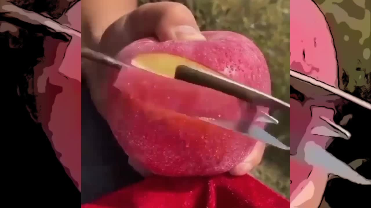 Apple Slicer