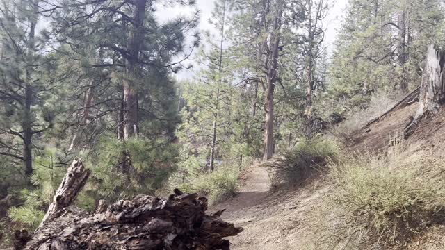 Information Placard Destroyed by Vandals – Deschutes River Trail – Central Oregon – 4K