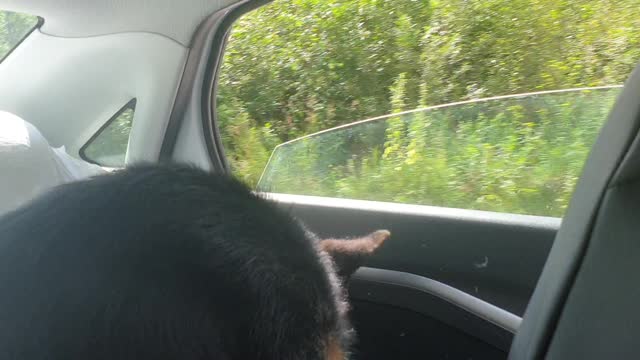 the first time in the car