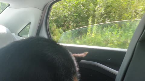the first time in the car