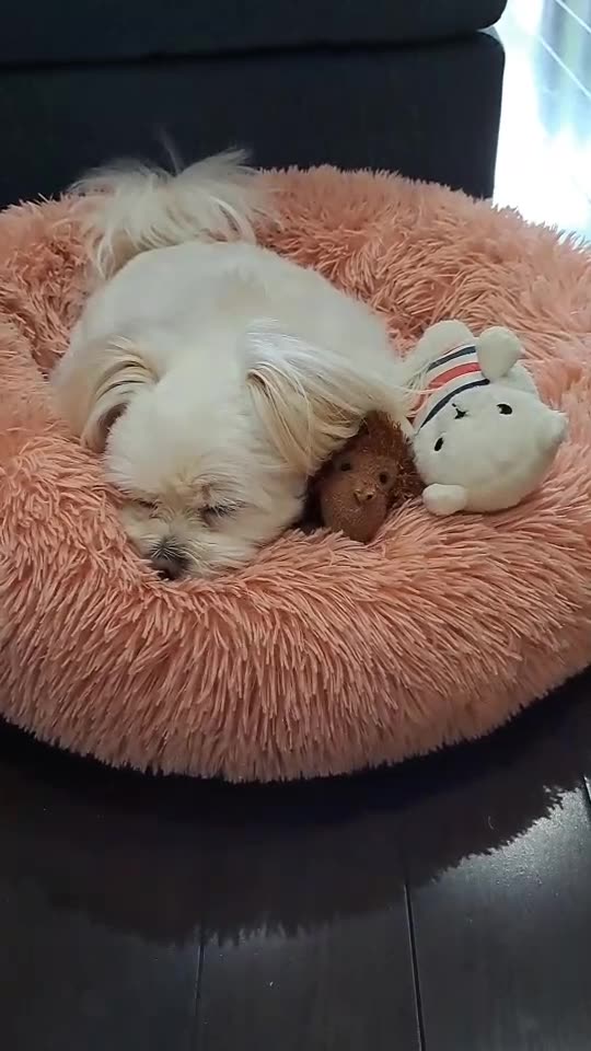 HE SLEEPS WITH・・・