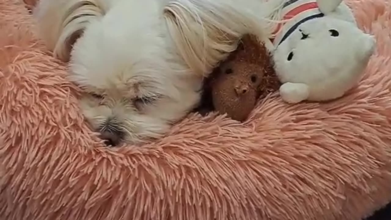 HE SLEEPS WITH・・・