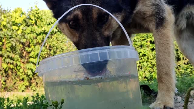 Well, really cute? Drank some water - Sweet face :)