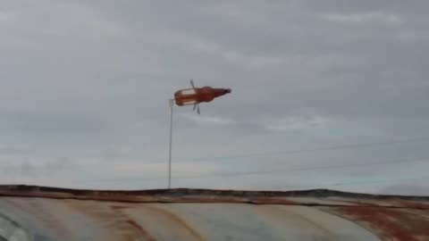 Windblown bottle