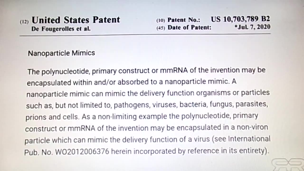 Nanobots in the Time Release Death Injections:
