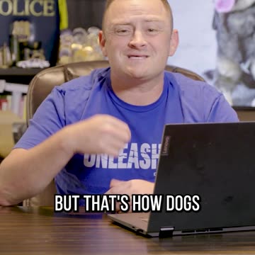 Dog Trainer Reacts to INSANE K9 Takedown