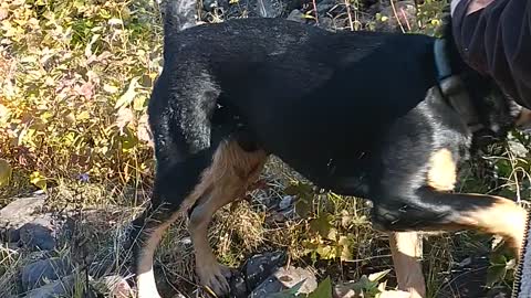 Frank At Rapid River Bridge