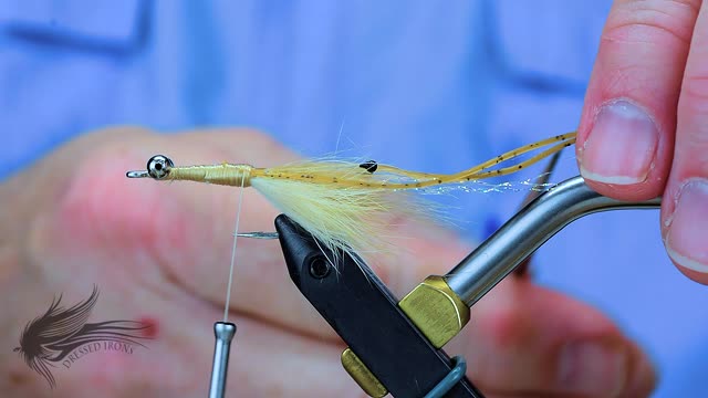 Tying Veverka's Mantis Shrimp - Dressed Irons