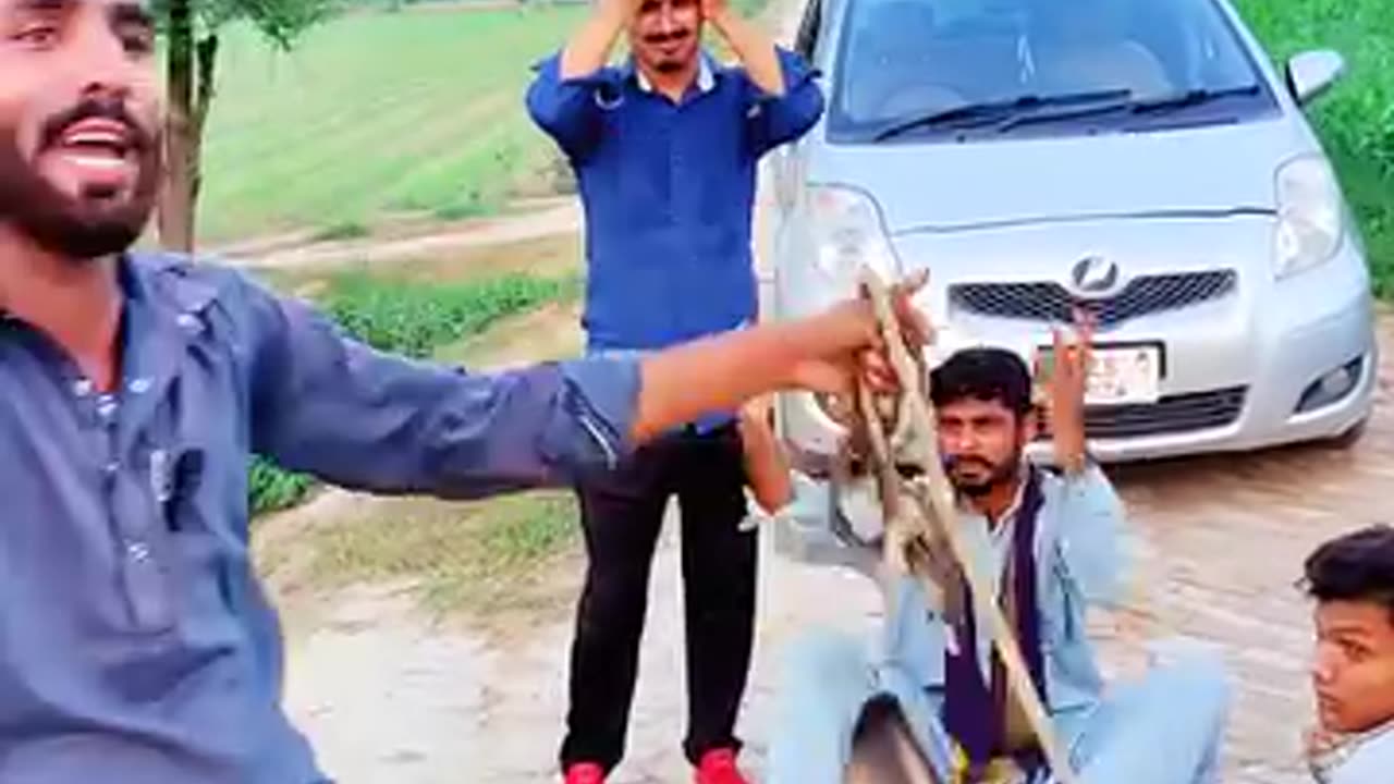 Funny Videos