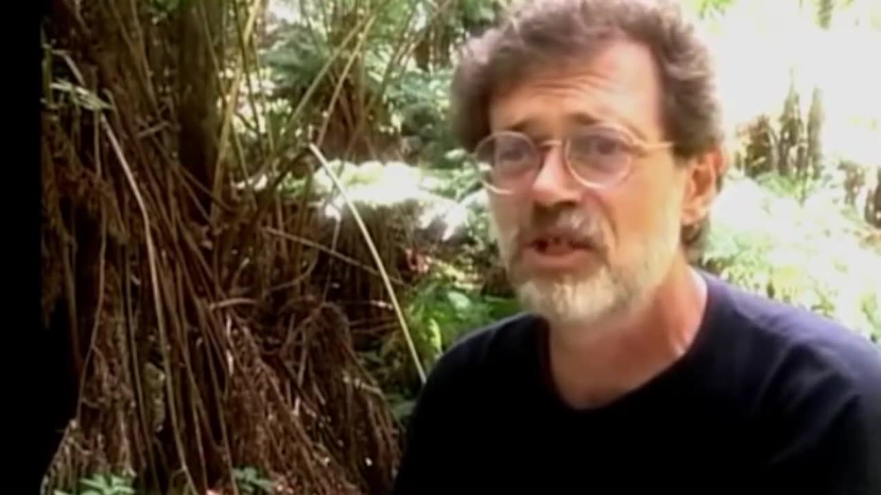 Terence McKenna _ Contradictory Complexity