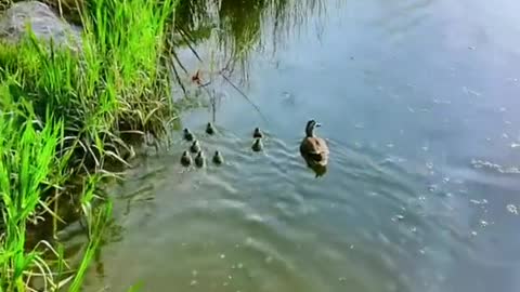 The most beautiful scenery in the world