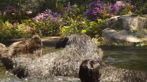 Jungle book movie review