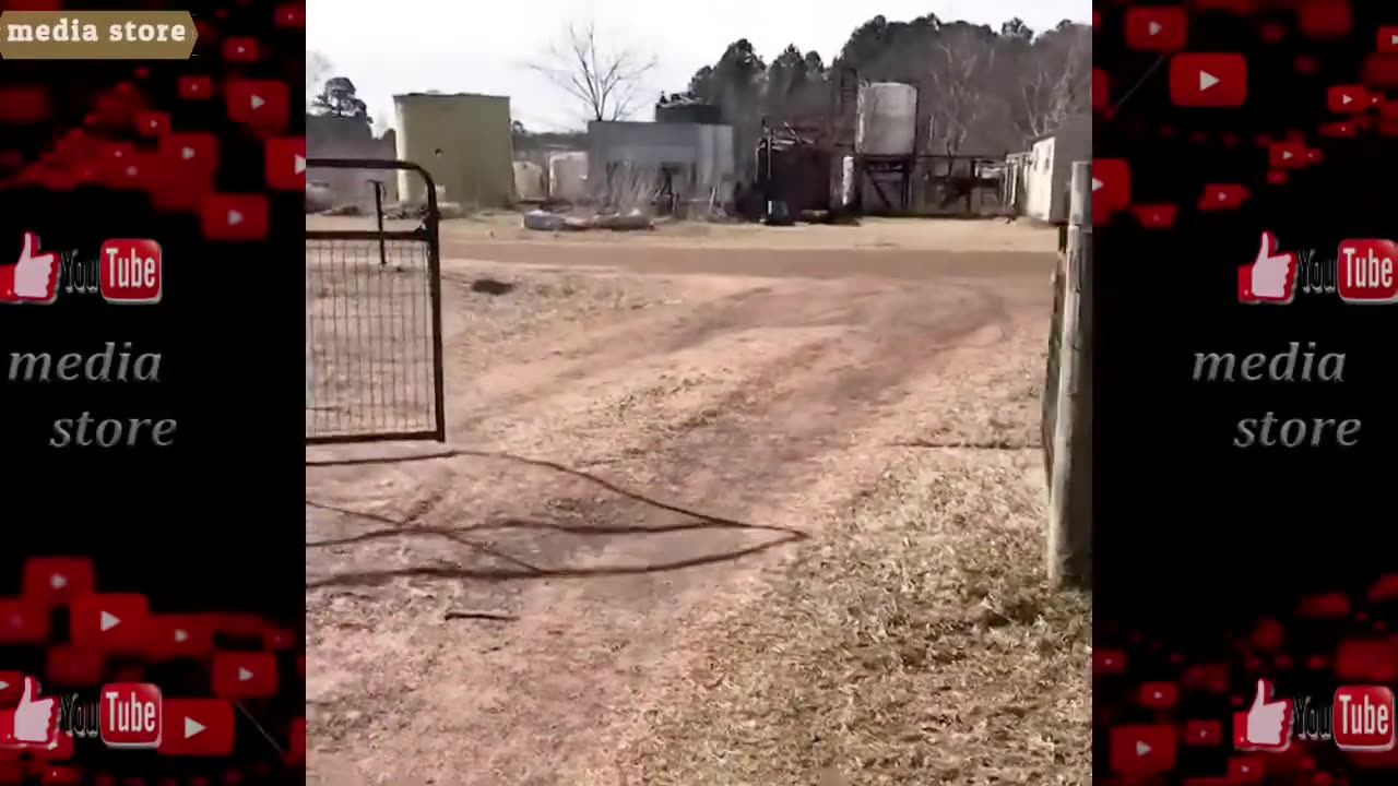 اجمل المواقف المضحكه 😂😂😂 تجميعة تحدي الضحك very funny moment