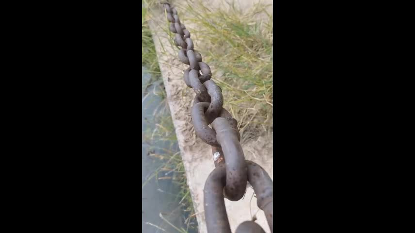 ragon chain