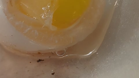Duck egg, oooo... No....