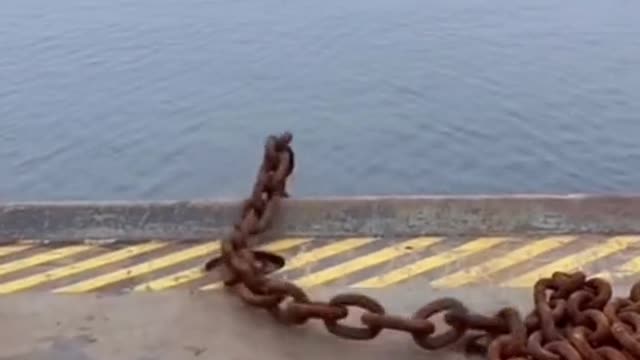 Anchor drop. It's exciting to watch