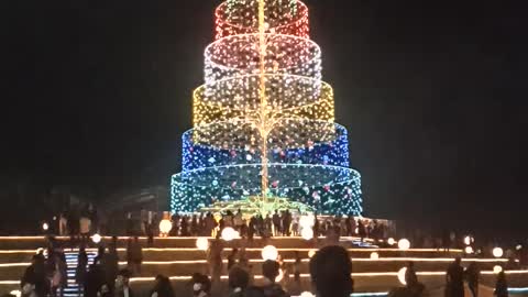 Giant Christmas Tree