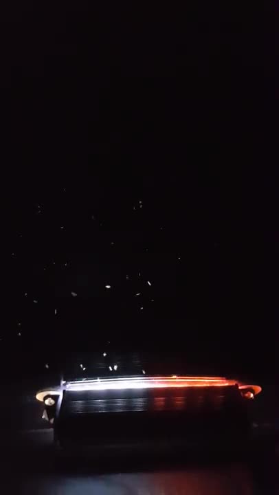 Bugs Dancing to My Light.