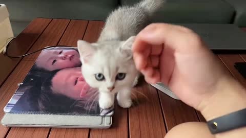 When you caught